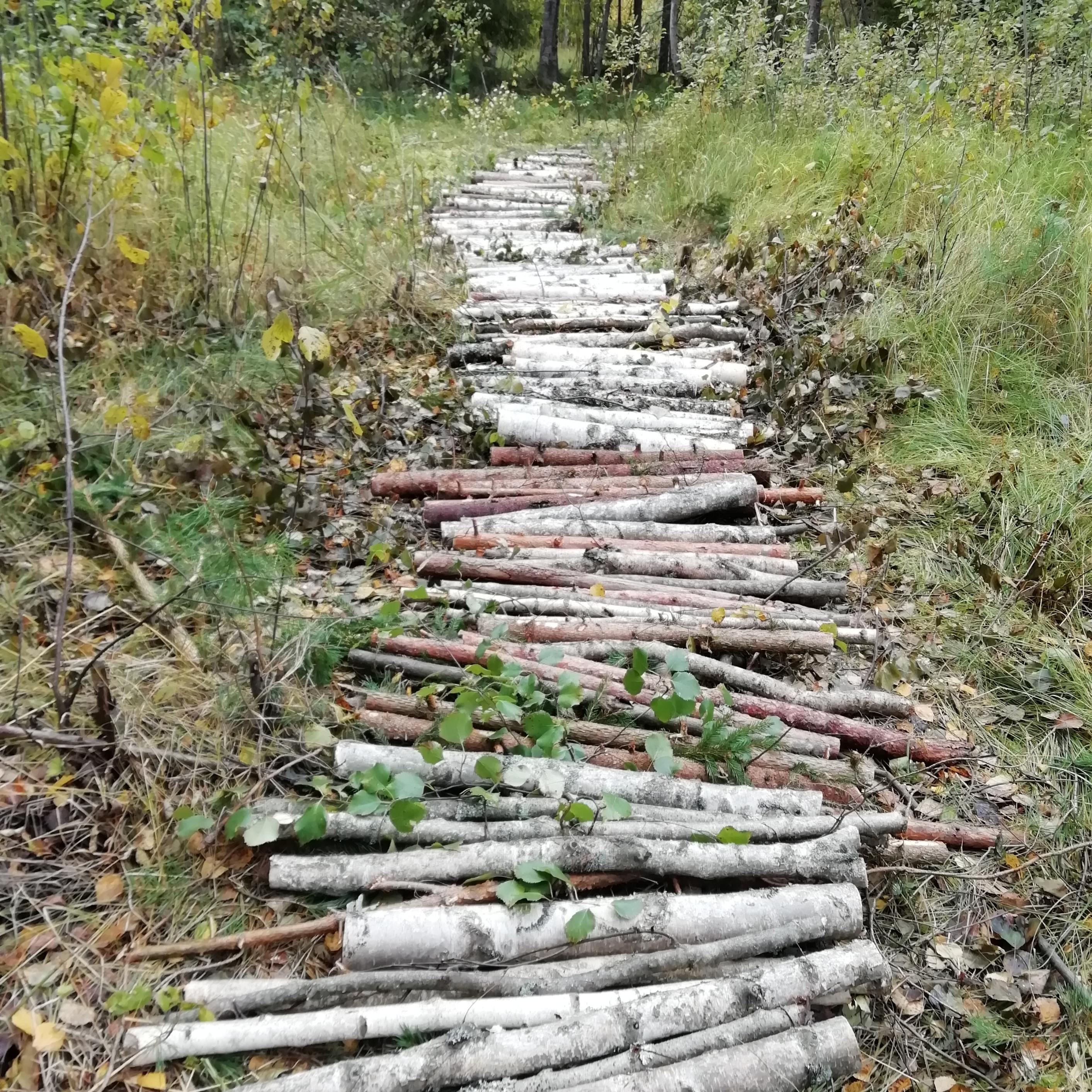 Kuvituskuva