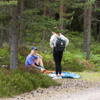 Avaa kuva isommaksi Ristintie Högsåran riparilla.