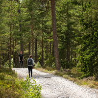 Avaa kuva isommaksi Ristintie Högsåran riparilla.