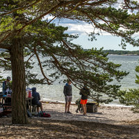 Avaa kuva isommaksi Ristintie Högsåran riparilla.