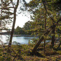 Avaa kuva isommaksi Sunntaina 01.07 Styrsvikin kallioilla.
