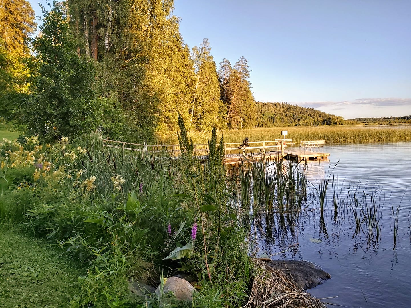 Koko seurakunnan kesäpäivä Aurinkoista rantamaisemaa Suruttomassa.