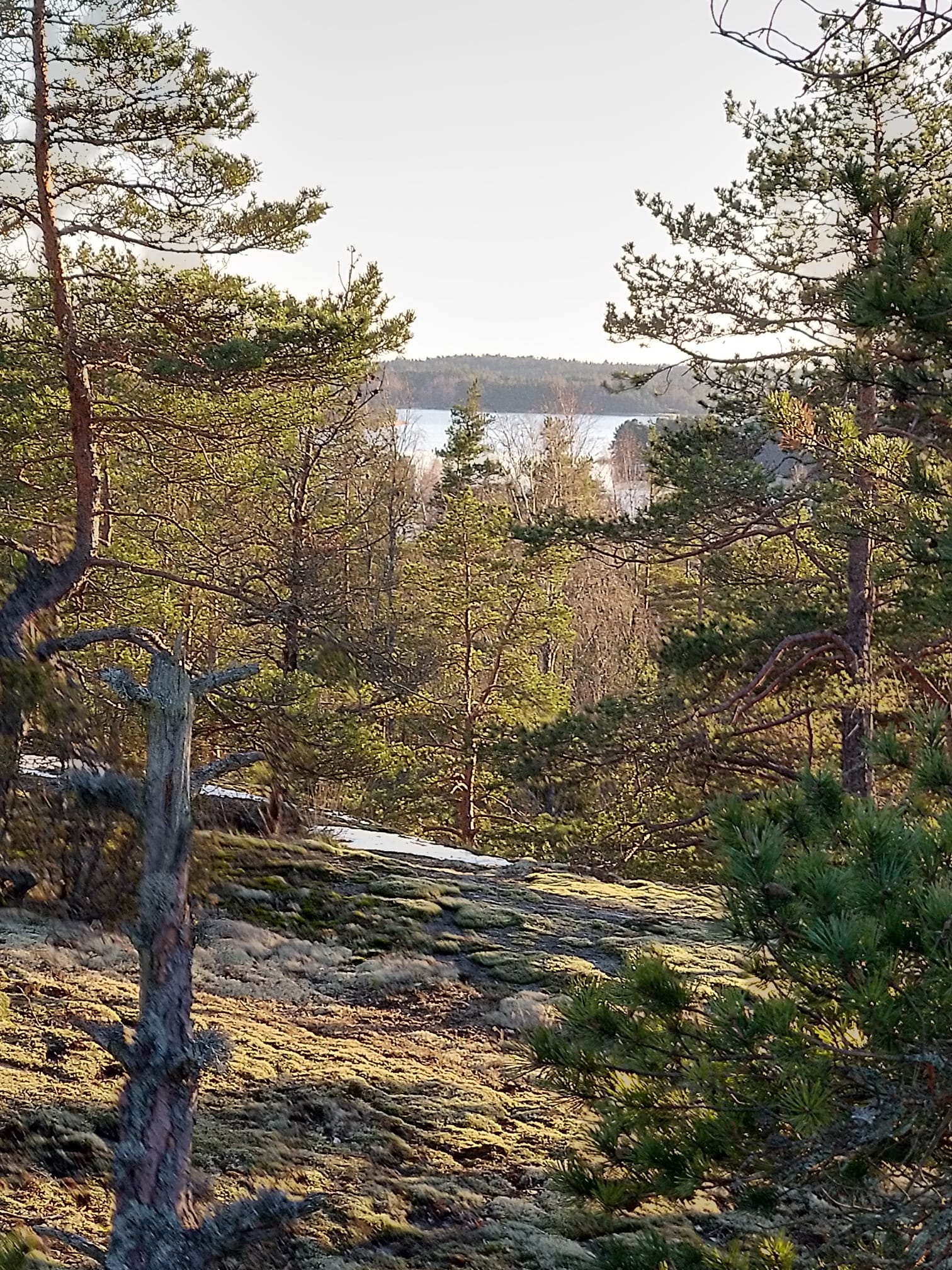 Kalliomaisemaa Nauvossa