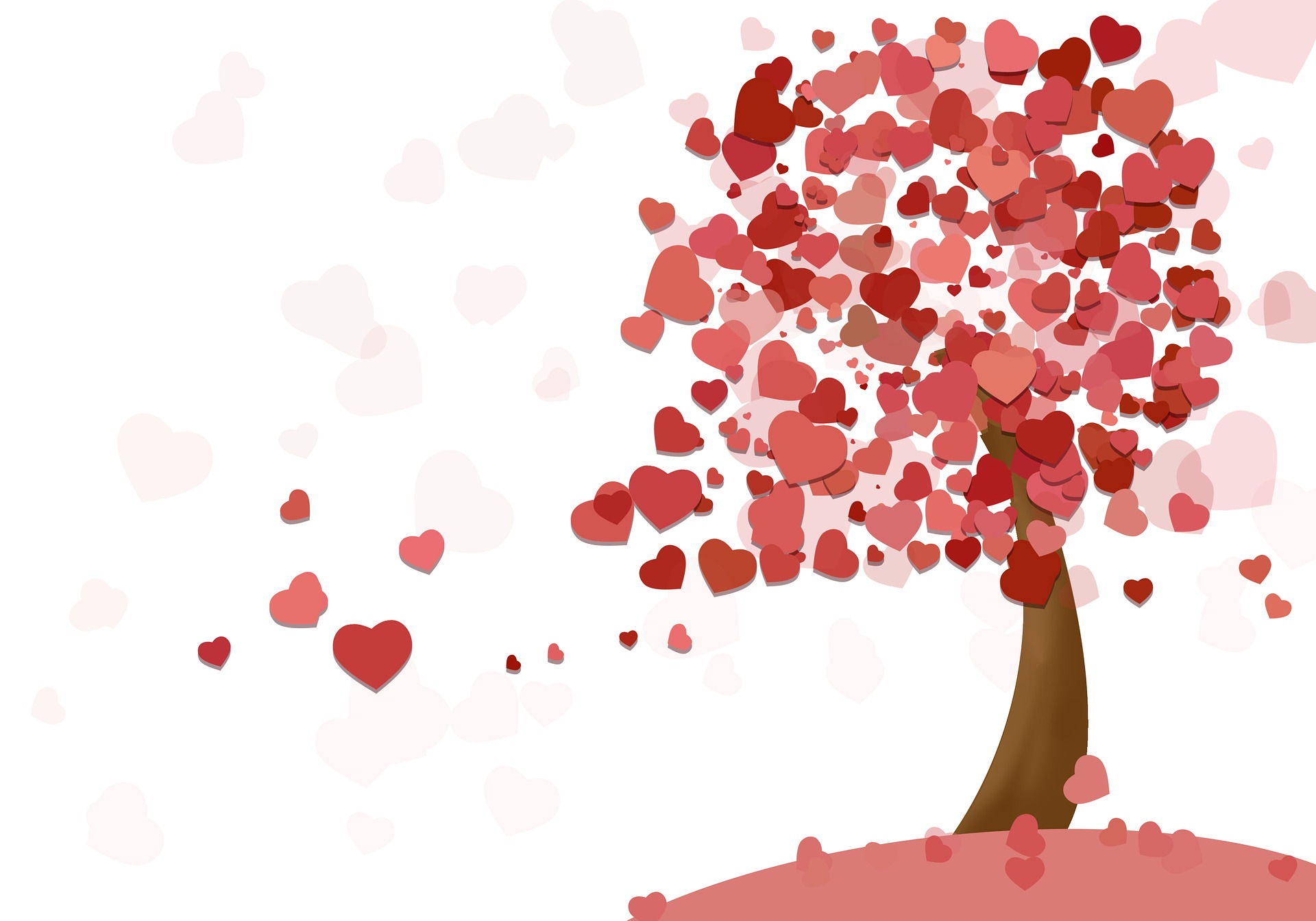 heart-1998000_1920.jpg