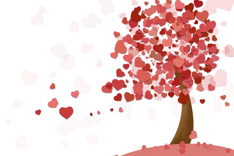 heart-1998000_1920.jpg