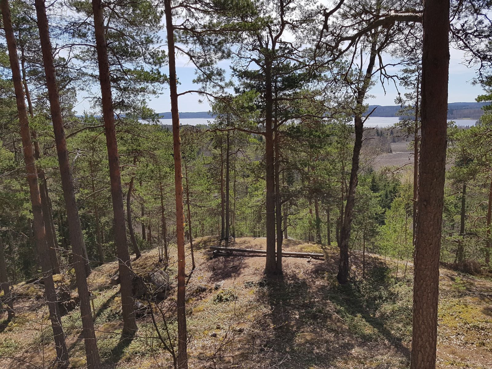 Maisema näköalapaikalla