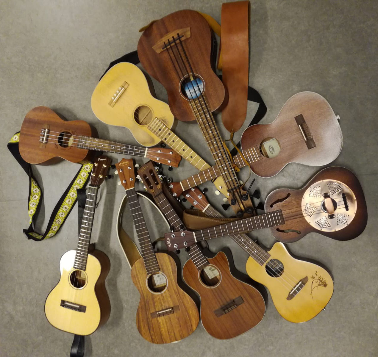 Ukuleleja